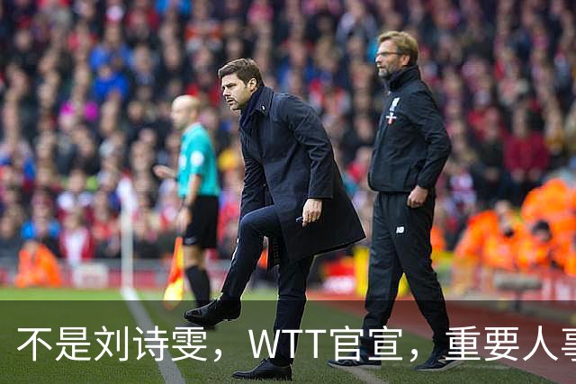 不是刘诗雯，WTT官宣，重要人事任命，乒乓美女被提拔，孙颖莎王楚钦有福了