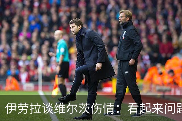 伊劳拉谈维尔茨伤情：看起来问题不大，但还需要进一步检查