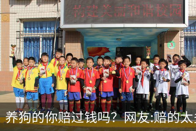 养狗的你赔过钱吗？网友:赔的太多了，它的身价蹭蹭往上涨