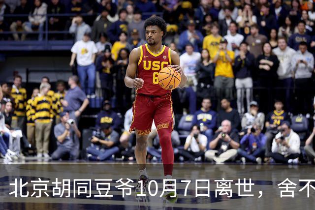 北京胡同豆爷10月7日离世，舍不得花钱硬扛小病留给世人一声叹息