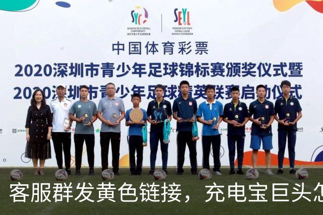 客服群发黄色链接，充电宝巨头怎么了？