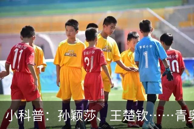 小科普：孙颖莎、王楚钦……青奥会上走出多少体坛名将？