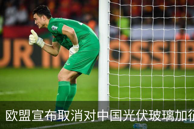 欧盟宣布取消对中国光伏玻璃加征关税，本土企业已全部倒闭，没保护必要了