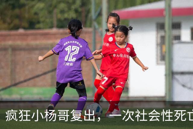 疯狂小杨哥复出，一次社会性死亡！