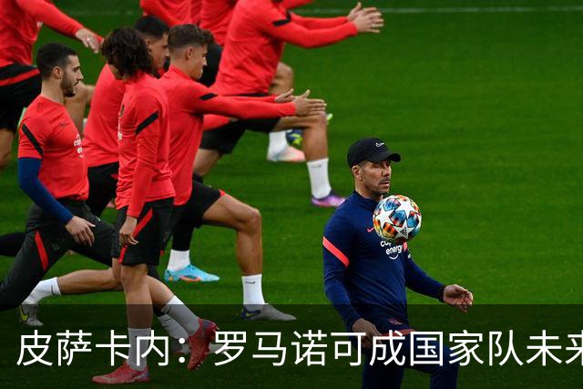 皮萨卡内：罗马诺可成国家队未来