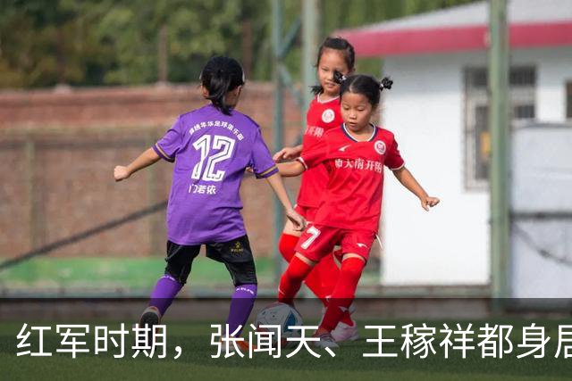 红军时期，张闻天、王稼祥都身居高位，为何后来渐渐淡出历史舞台？